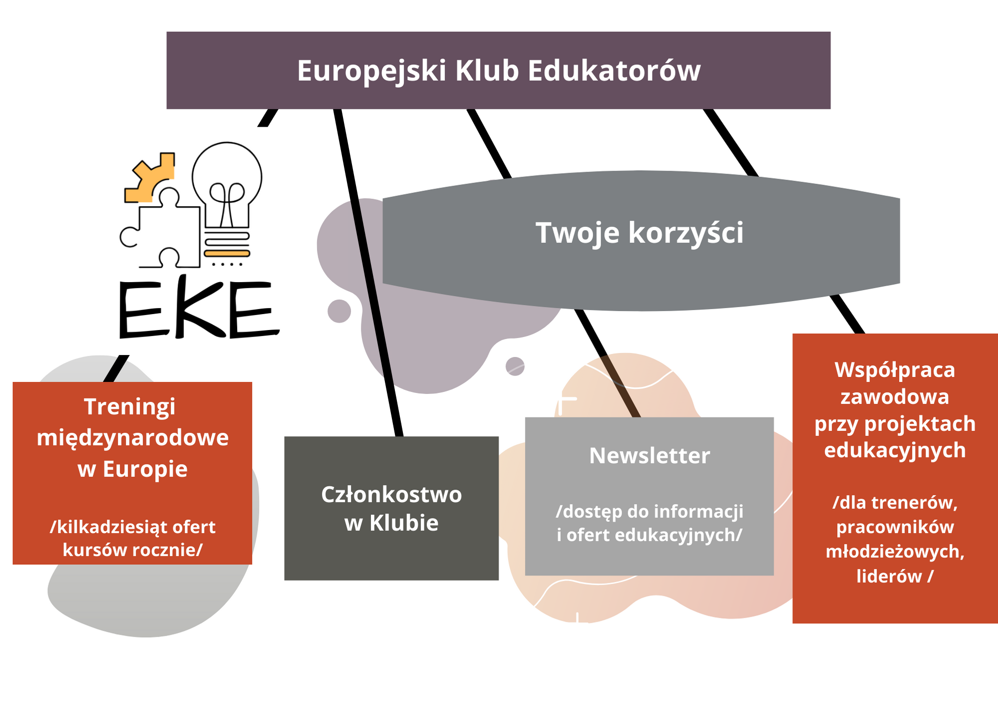Kopia Kopia Promo Ofert EVS (5)